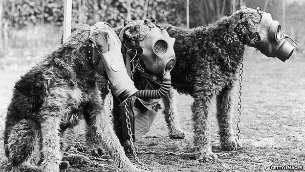 Tres perros militares airedale terrier con máscaras de gas